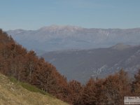 2020-11-10 M. Ginepro Passeggio e Pizzo Deta 185